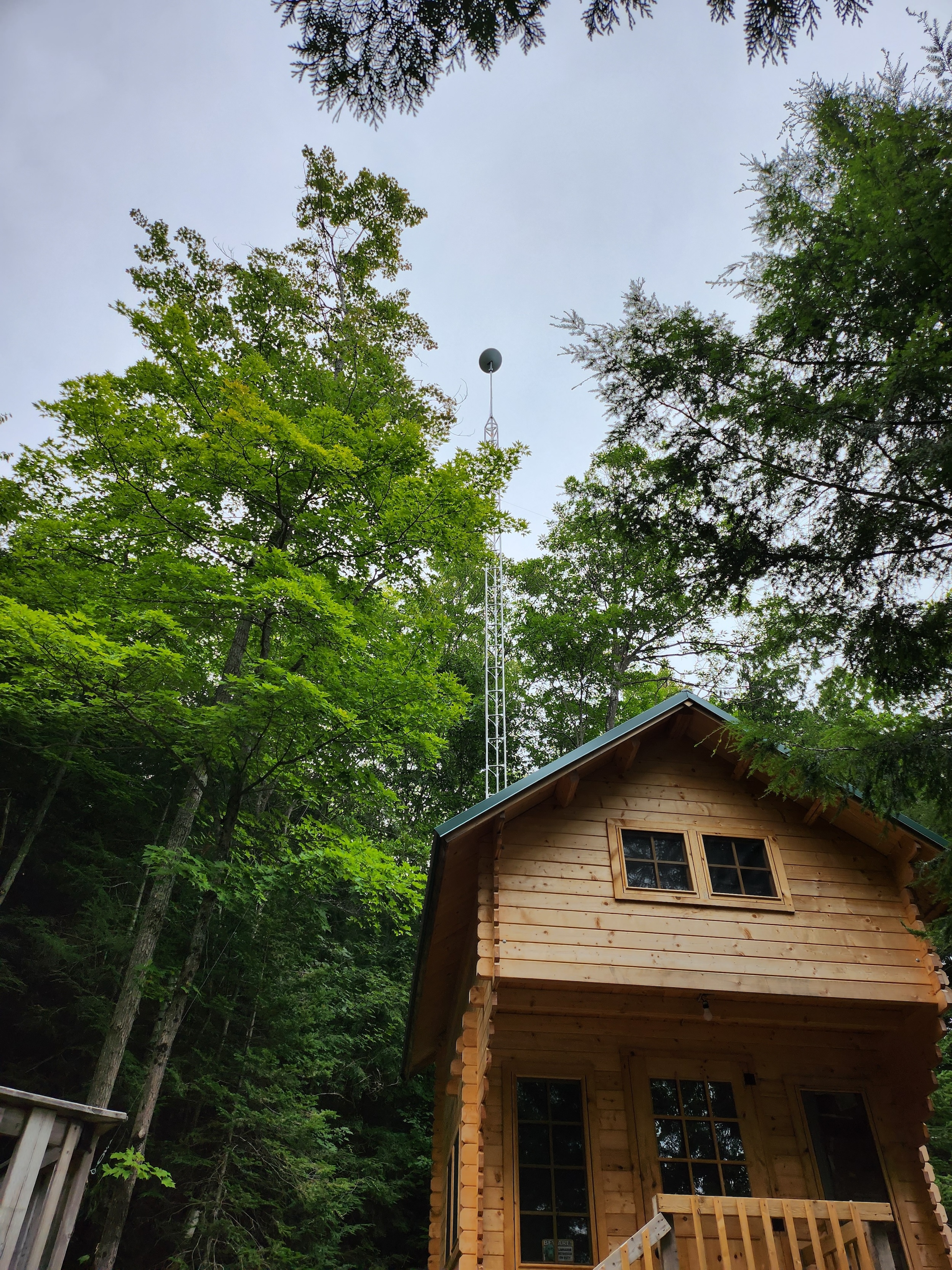 rustic cabin with a 50-foot starlink tower tucked away in the deep woods