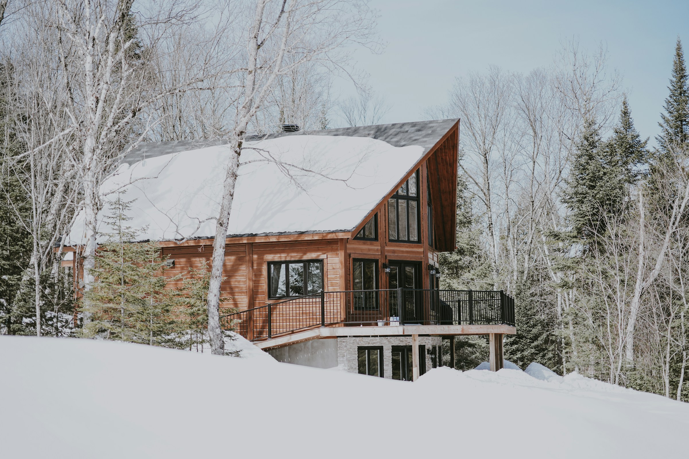 snowy cottage surrounded by trees