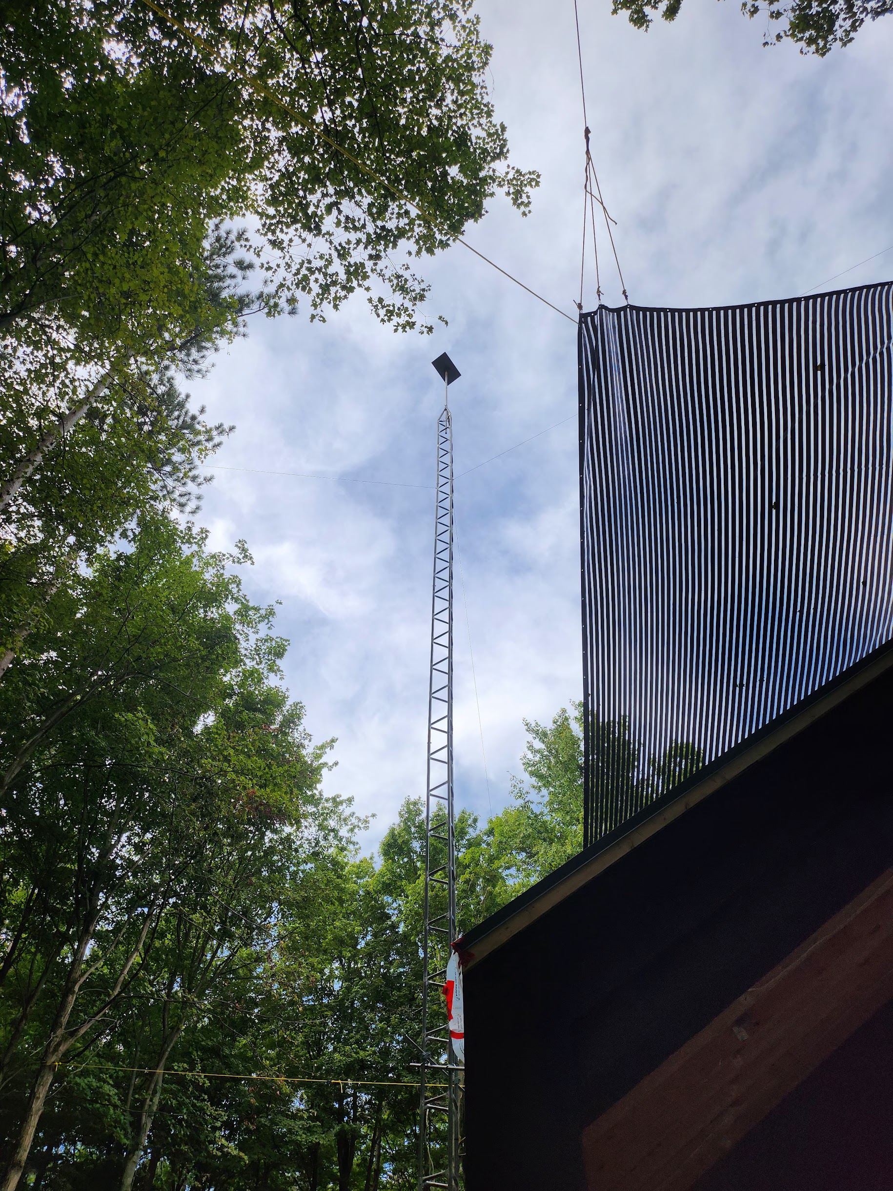 60-foot tower among tall trees