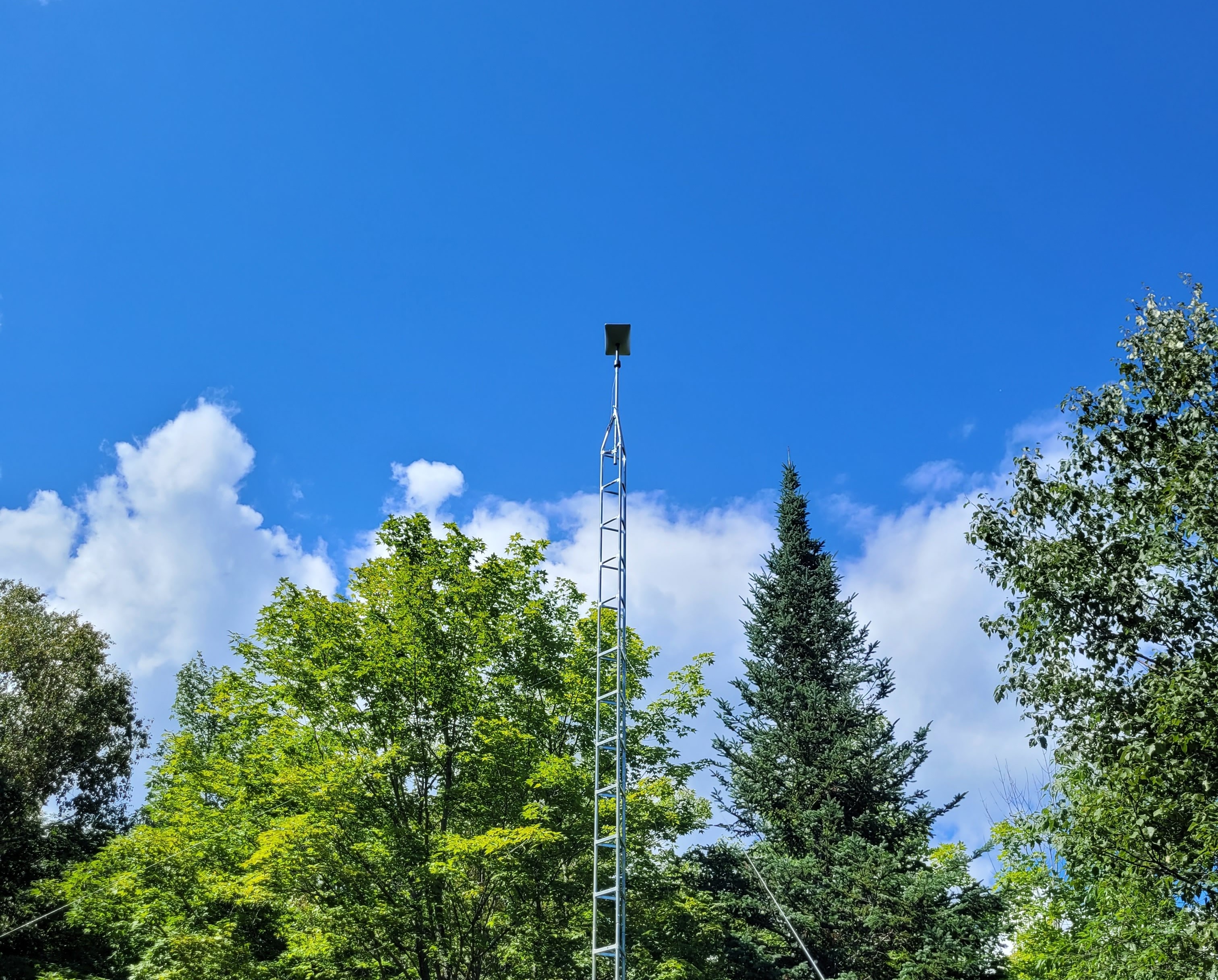 starlink tower among trees